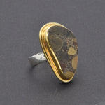 Ring Nagelfluh bicolor