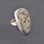 Ring Nagelfluh