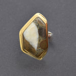 Ring Nagelfluh bicolor