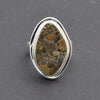 Ring Nagelfluh