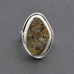 Ring Nagelfluh