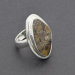 Ring Nagelfluh